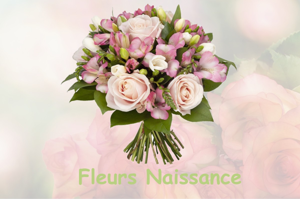 fleurs naissance MONTEPLAIN