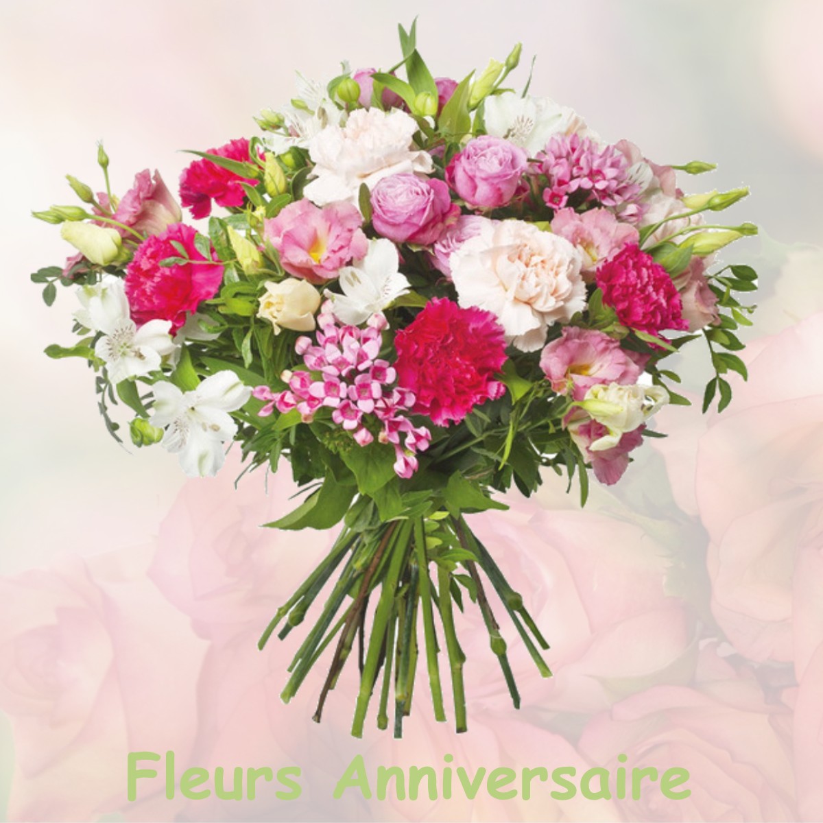 fleurs anniversaire MONTEPLAIN