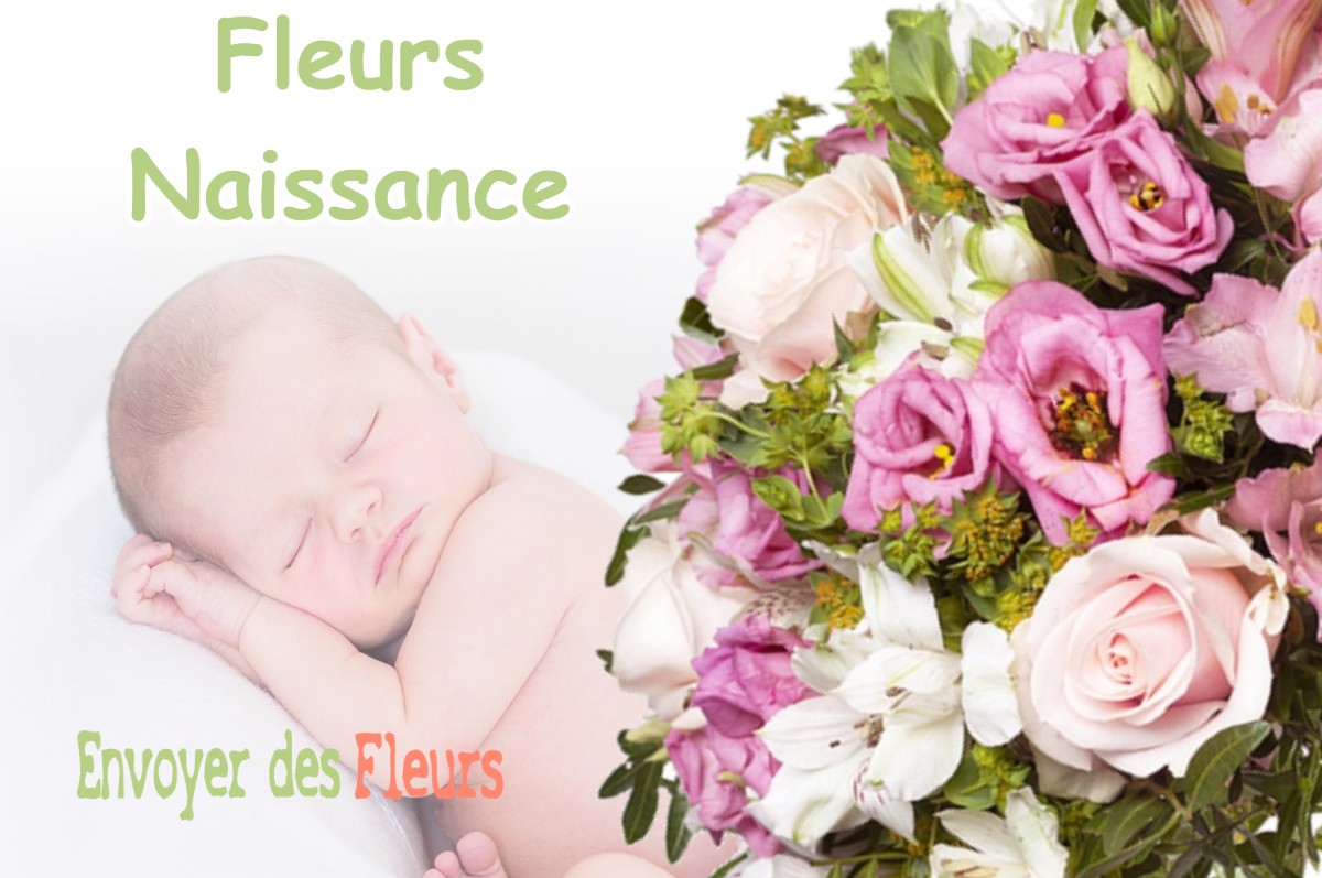 lIVRAISON FLEURS NAISSANCE à MONTEPLAIN